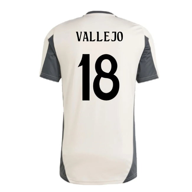 2024-2025 Real Madrid EU Training Jersey (Putty Mauve) (Vallejo 18)