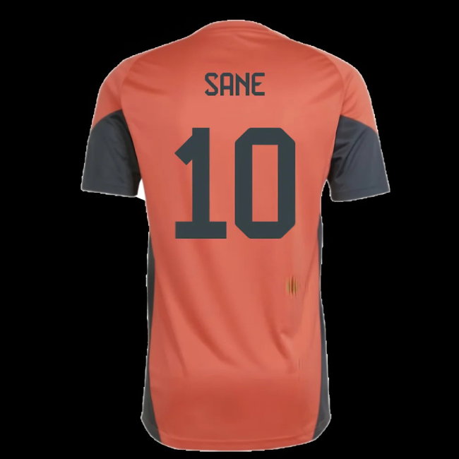 2025-2026 Bayern Munich Training Shirt (Easy Coral) (Sane 10)