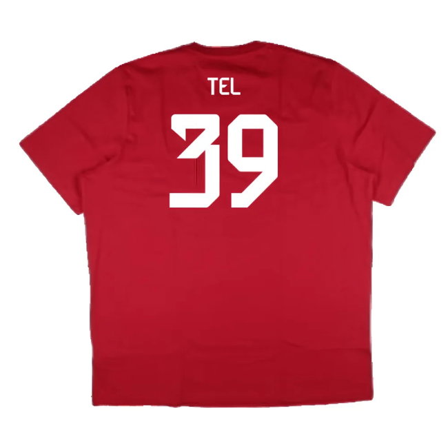 2024-2025 Bayern Munich DNA Graphic Tee (Red) (Tel 39)