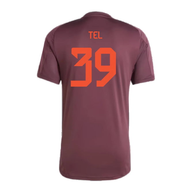 2024-2025 Bayern Munich Training Shirt (Shadow Maroon) (Tel 39)