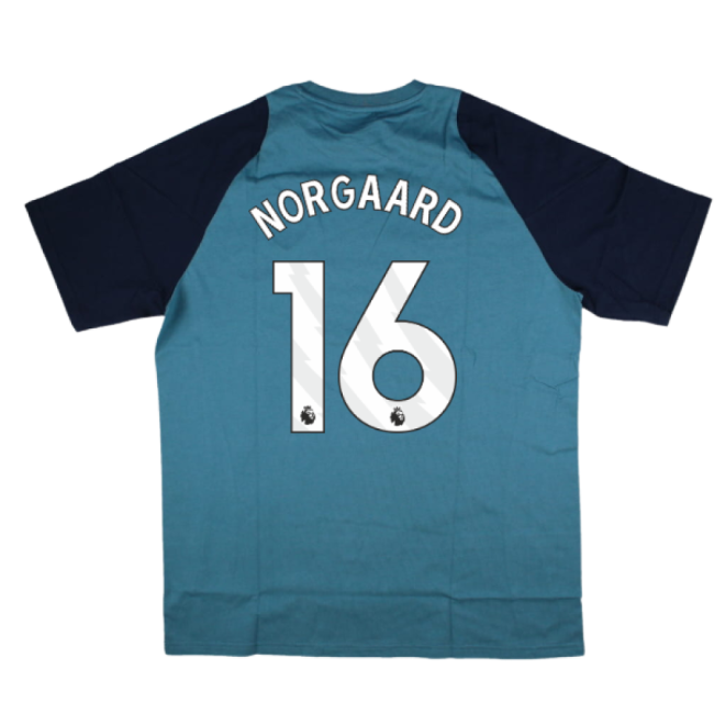 2025-2026 Arsenal Training Tee (Blanch Blue) (Norgaard 16)