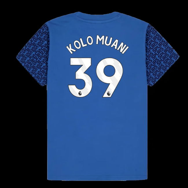 Tottenham Hotspur Graphic T-shirt (Blue) - Kids (Kolo Muani 39)