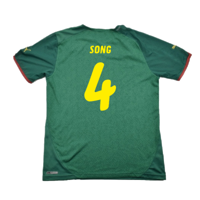 Cameroon 2010-11 Home Shirt ((Excellent) L) (SONG 4)
