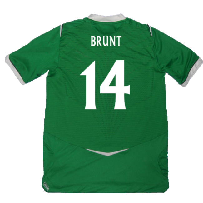 Northern Ireland 2008-09 Home Shirt ((Excellent) M) (Brunt 14)