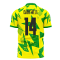 Norwich 2023-2024 Home Concept Football Kit (Libero) (Cantwell 14)