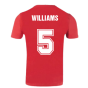 Wales 2021 Polyester T-Shirt (Red) (WILLIAMS 5)