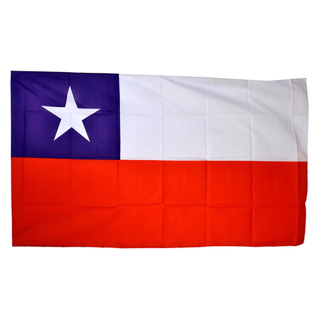 Chile World Cup Flag