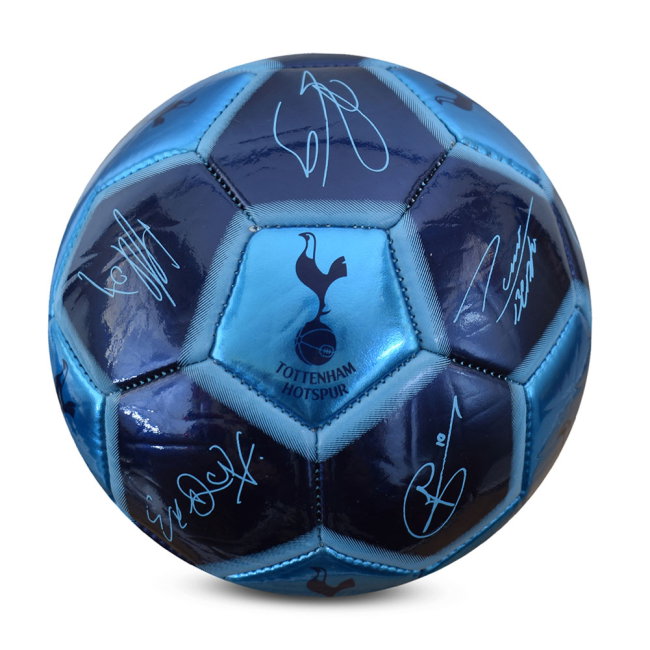 Tottenham Hotspur FC Sig 26 Skill Ball