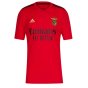 2020-2021 Benfica Home Shirt (EVERTON 7)