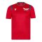 2021-2022 Scarlets Poly Training Shirt (Red) (Your Name)