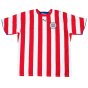 2006-2007 Paraguay Home Shirt (DA SILVA 14)