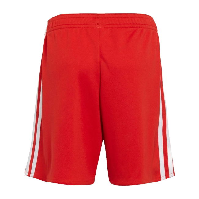 2022-2023 Bayern Munich Home Shorts (Red) - Kids