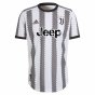 2022-2023 Juventus Authentic Home Shirt (CHIELLINI 3)