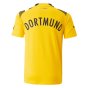 2022-2023 Borussia Dortmund CUP Shirt (Kids) (DELANEY 6)