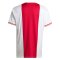 2022-2023 Ajax Home Shirt (TIMBER 2)