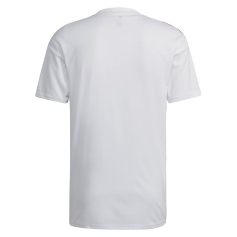 2022-2023 Olympique Lyon Home Shirt (DUBOIS 14)
