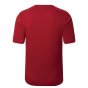 2022-2023 Roma Pre-Game Warmup Jersey (Home) (MATIC 8)