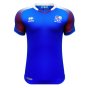 2018-2019 Iceland Home Shirt (Your Name)
