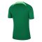 2022-2023 Nigeria Dri-Fit Training Shirt (Green) (Your Name)
