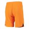 2022-2023 Holland Home Shorts (Orange) - Kids