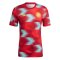 2022-2023 Colombia Pre-Match Shirt (Red) (BORRE 19)