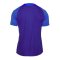 2022-2023 Holland Strike Training Shirt (Blue) (Timber 2)