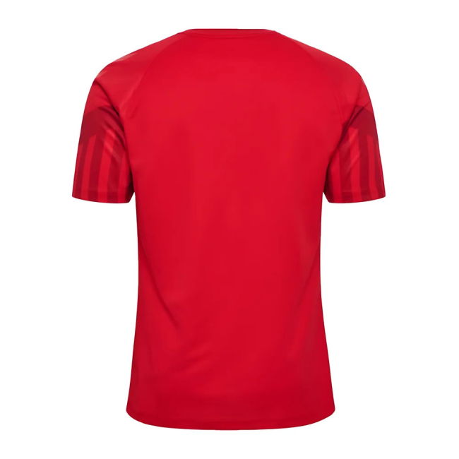 2022-2023 Denmark Home Jersey
