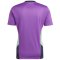 2022-2023 Real Madrid Condivo Training Jersey (Purple) (VALVERDE 15)