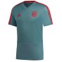 2022-2023 Bayern Munich Training Shirt (Raw Green) (LEWANDOWSKI 9)