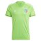 2023-2024 Italy Goalkeeper Jersey (Green) (Donnarumma 1)