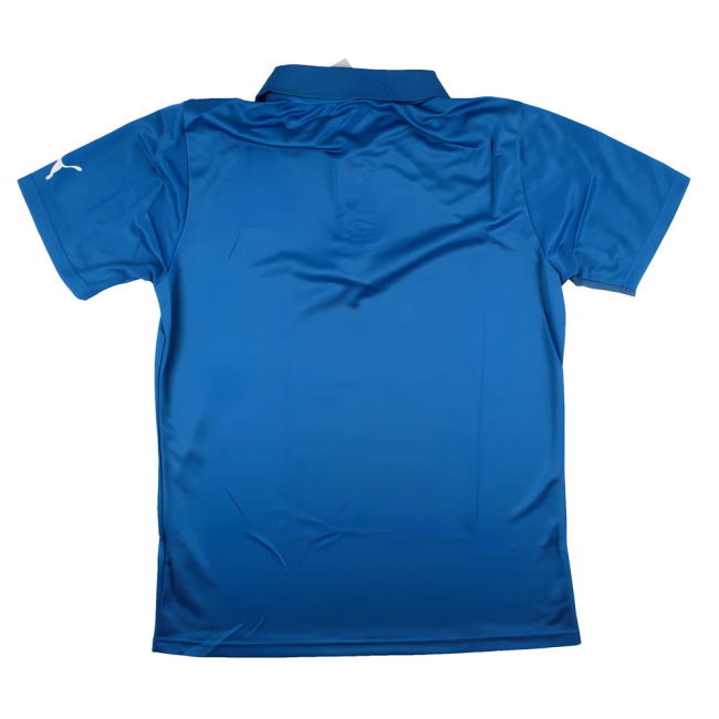 Puma Spirit Polo Shirt (Royal)