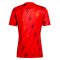 2023-2024 Arsenal Pre-Match Shirt (Red) (S Cazorla 19)