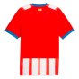 2023-2024 Girona Home Shirt (Blind 17)