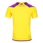 2023-2024 Fiorentina Training Shirt (Yellow) (Baggio 10)
