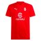 2023-2024 AC Milan Training Jersey (Red) (Loftus Cheek 8)