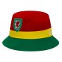 Wales Retro Bucket Hat