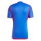 2023-2024 Olympique Lyon Away Shirt (Govou 14)