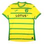 2023-2024 Norwich City Home Shirt (Tzolis 18)