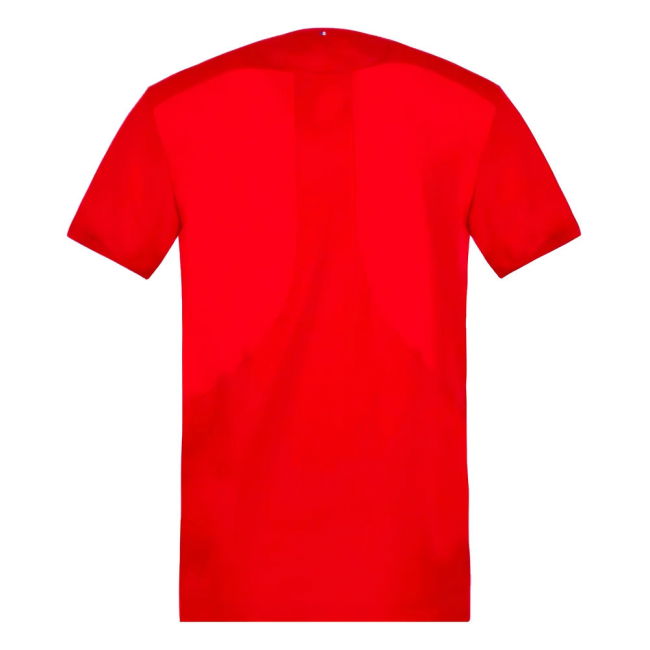 2023-2024 France Rugby Training Tee (Red)