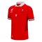 Wales RWC 2023 Welsh Home Rugby Shirt (Your Name)