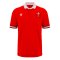 2023-2024 Wales Rugby Home Cotton Shirt (Williams 9)