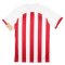 2023-2024 Sunderland Home Shirt (Defoe 18)