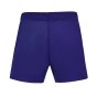2023-2024 France Rugby Replica Shorts (Blue)
