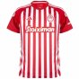 2023-2024 Olympiakos Home Shirt (Rivaldo 10)