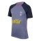 2023-2024 Tottenham Strike Dri-Fit Training Shirt (Violet) (Davies 33)