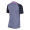 2023-2024 Tottenham Strike Dri-Fit Training Shirt (Violet) (Dragusin 6)