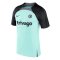 2023-2024 Chelsea Training Shirt (Mint Foam) (Ugochukwu 16)