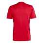2023-2024 Roma Icon Pre-Match Shirt (Red) (IBANEZ 3)