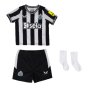 2023-2024 Newcastle Home Nested Baby Kit (Almiron 24)