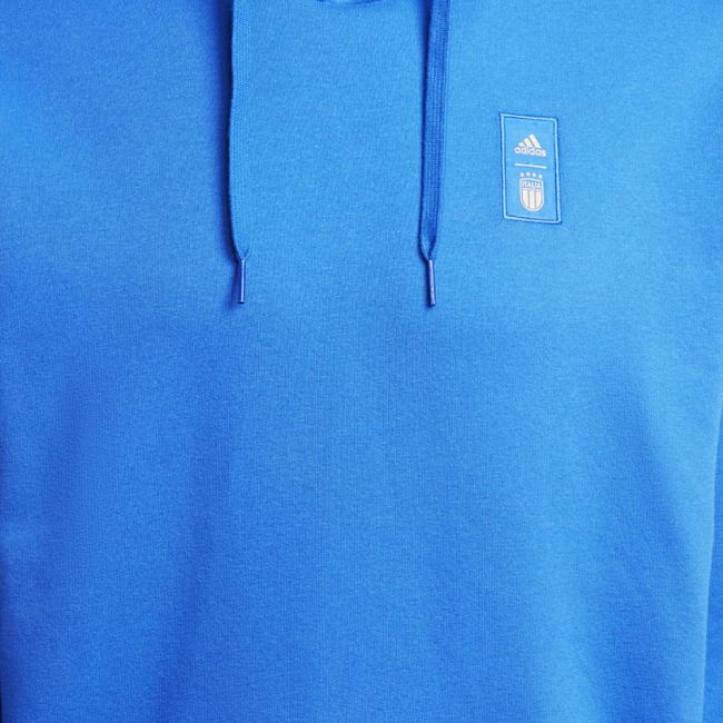 2024-2025 Italy DNA Hoody (Blue)